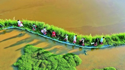 常为新、敢创新,青春绽放在乡野 常为新、敢创新,青春绽放在乡野