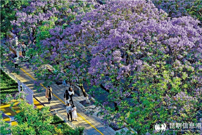 图片1_副本 图片1_副本