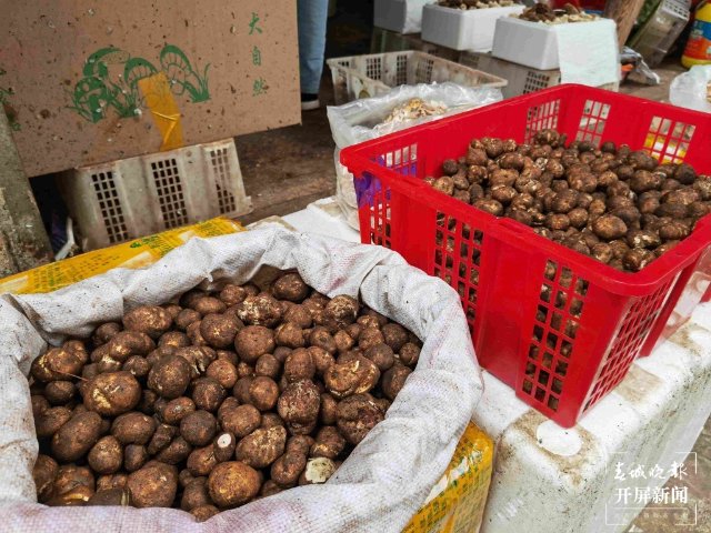 气候冷热不均,曲靖“野生菌”量少价高 (13689115)-20220515200108.jpg