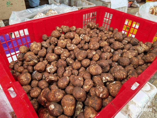 气候冷热不均,曲靖“野生菌”量少价高 (13689120)-20220515200113.jpg