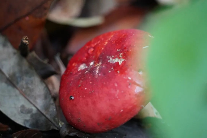 99775c43377c3d7fbff8c7e59192aa67.jpeg 图片