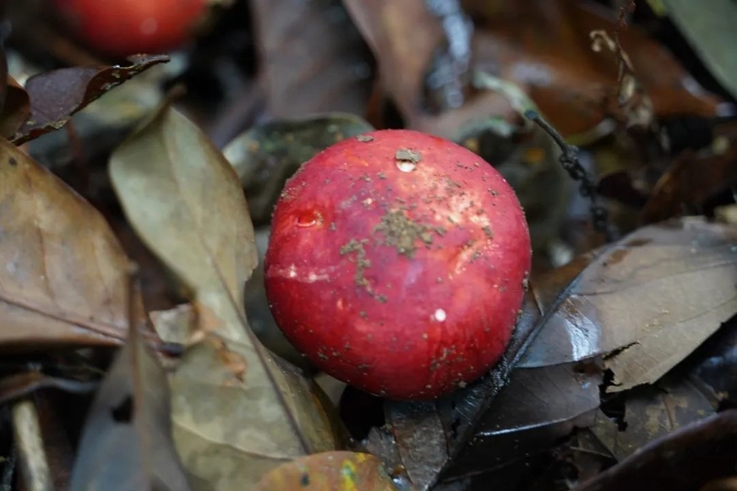 175465e897dde9124fea8523af47746c.jpeg 图片