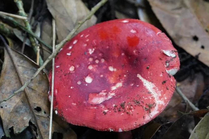 f1584641b912c778623ac4827b1766c7.jpeg 图片