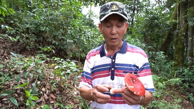 李玉黑.jpg 图片