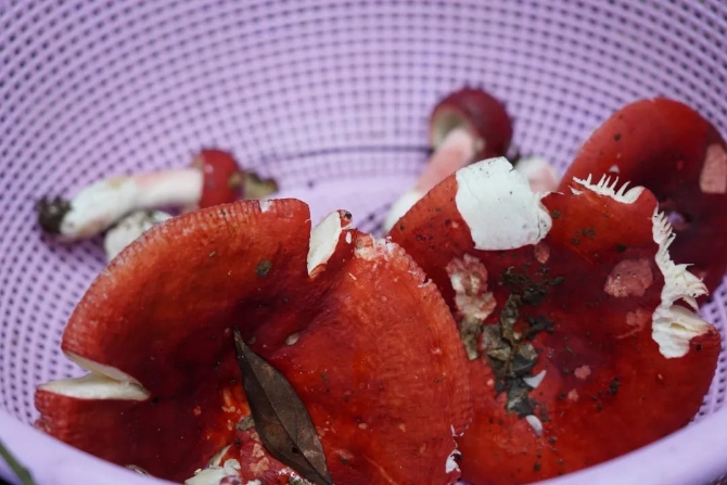 480d7db274d342d560be76f8e9f940b5.jpeg 图片