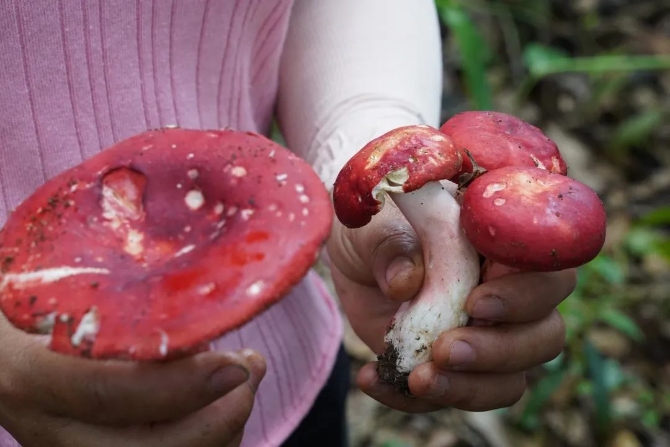 673785c06b4a66c5f910471afb0e7277.jpeg 图片