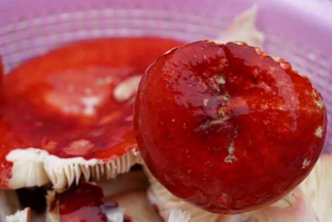 c81cbe2e464b5a5d446104992e94c5b1.jpeg 图片