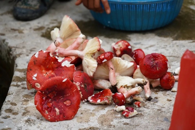 d5919874859a636c1234b088d82f8a16.jpeg 图片