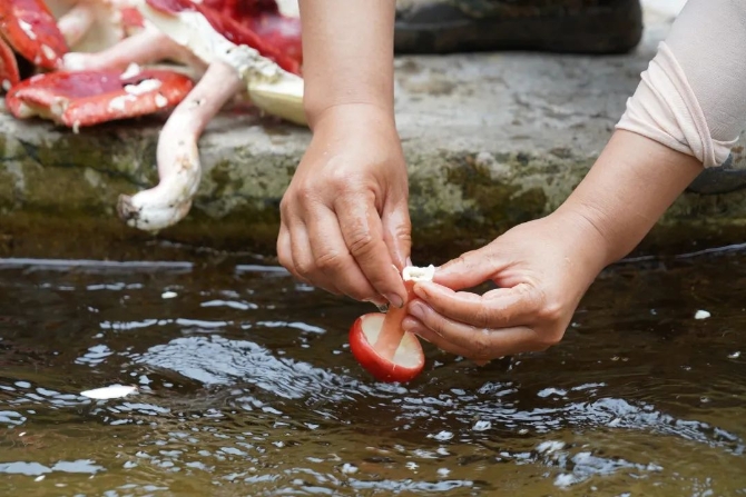 d17401a0dfef46bd6626a490407dfcd0.jpeg 图片