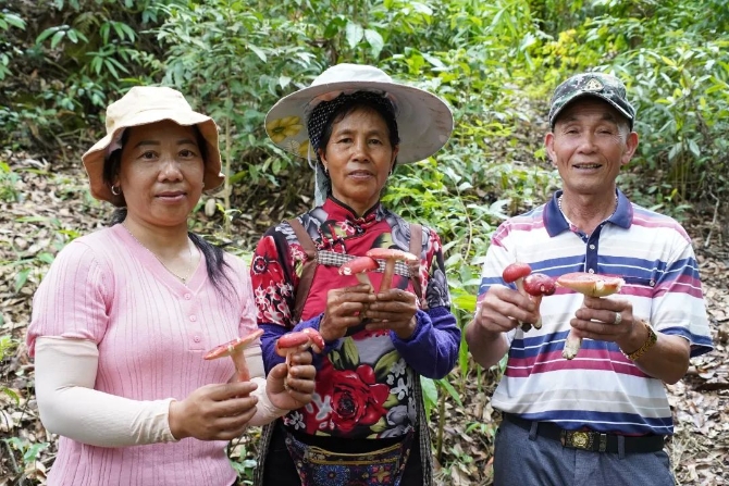 c122ab35758e953cf8cd3ebbb72e7cc9.jpeg 图片