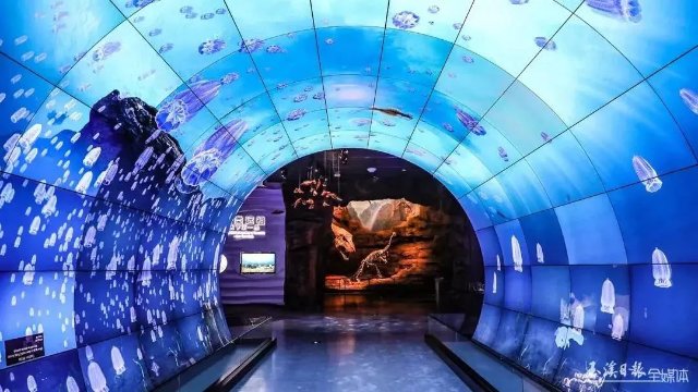 云南这个博物馆项目入选！“2020年度全国地质古生物科普十大进展”发布3.jpg
