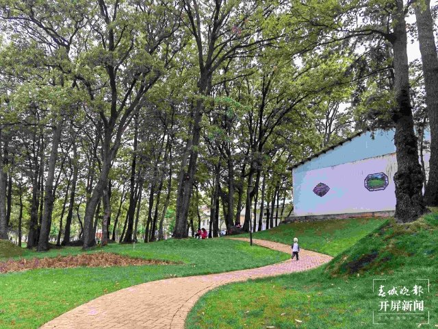 城市中心古树成林!262棵古树让曲靖这处公园成了当季最火打卡地