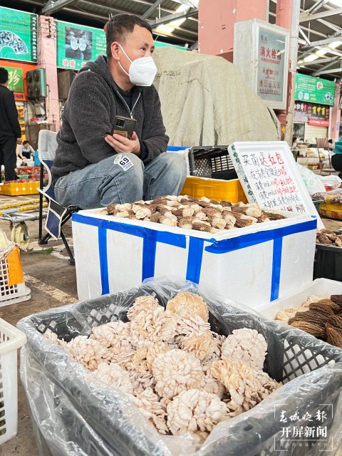 大量上市！价格跳水！昆明人敞开吃野生菌的时机终于到了！（开屏新闻记者 杨质高 摄）