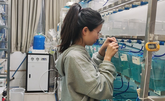 1653419592373_1 1653419592373_1