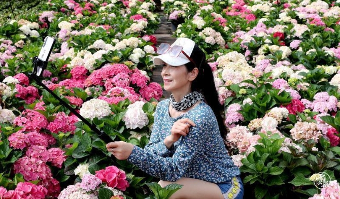 code_ynrb3d37811b-9388-4f18-b042-720ee6c07d7a