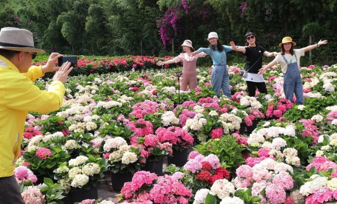 code_ynrb94edb470-aaa9-400f-9ad2-13b5a8e600c2