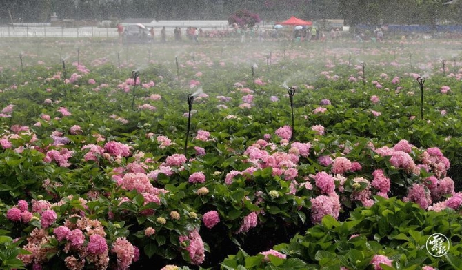 code_ynrba8e72945-4488-44ec-b8f3-d864a0137017