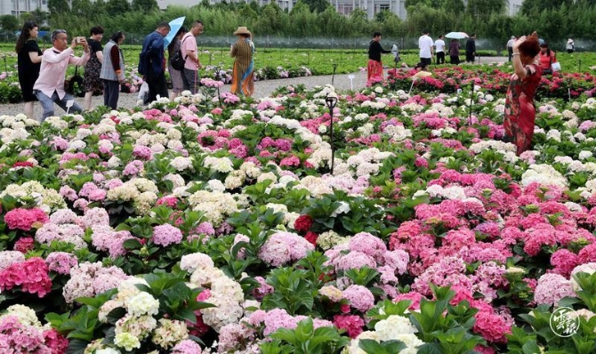 code_ynrbeef0cbc4-5f71-4728-b21e-80c5c90aff26