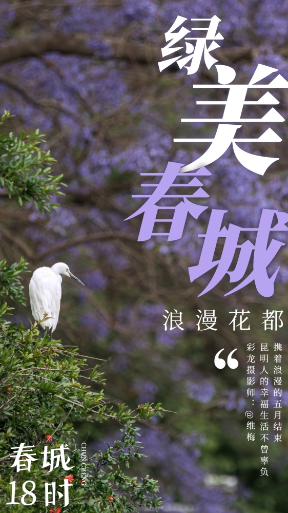 eb674c8cb4361b0a1371b2790a5629d