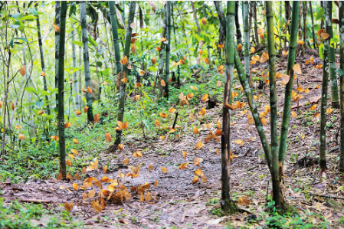 WeChat 截圖_20220612093441 WeChat 截圖_20220612093441