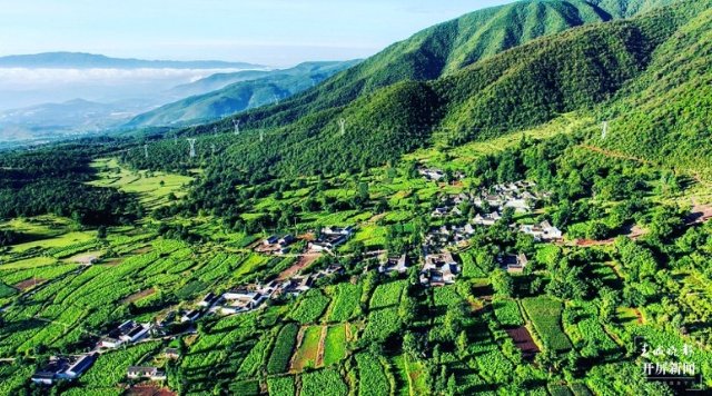 大理这十年|在巍山种下一个梦想,把这里变成柠檬之乡(开屏新闻记者 杨维琦 摄)