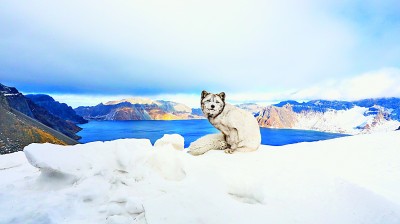 东北边陲：旅游兴市 产业富民
