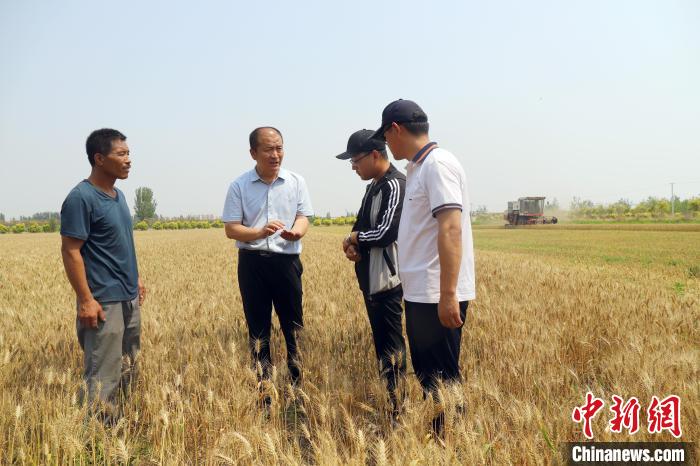 图为南皮县农业农村局专家和农民一起现场测产。　鲍俊秀 摄