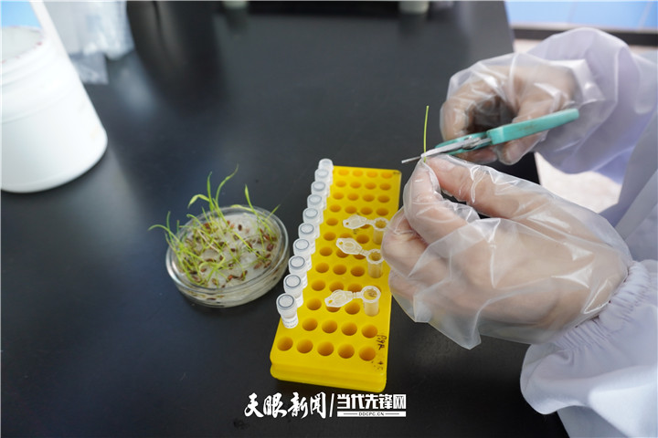 1655217537993817.jpg 3_副本.jpg