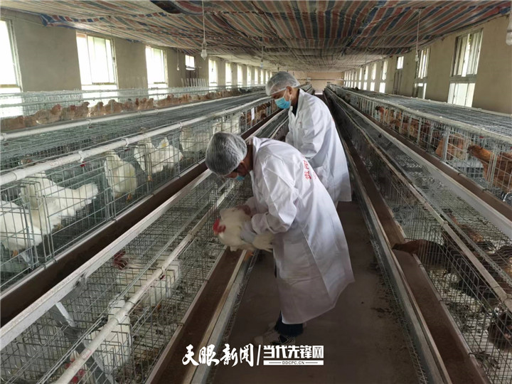 1655217829217219.jpg 7_副本.jpg