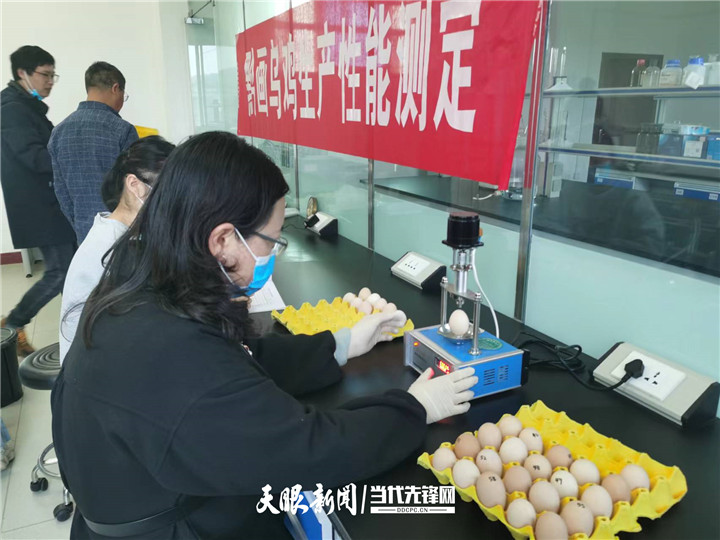 1655217864342561.jpg 8_副本.jpg