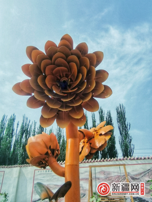 图片 4