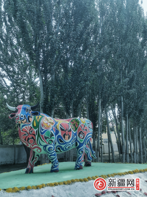 图片 5