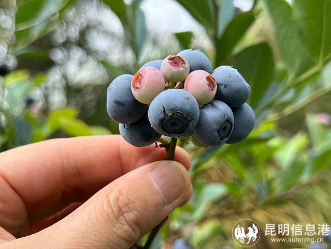 微信图片_20220630093432