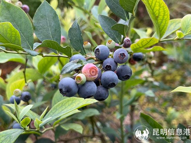 微信图片_20220630093154