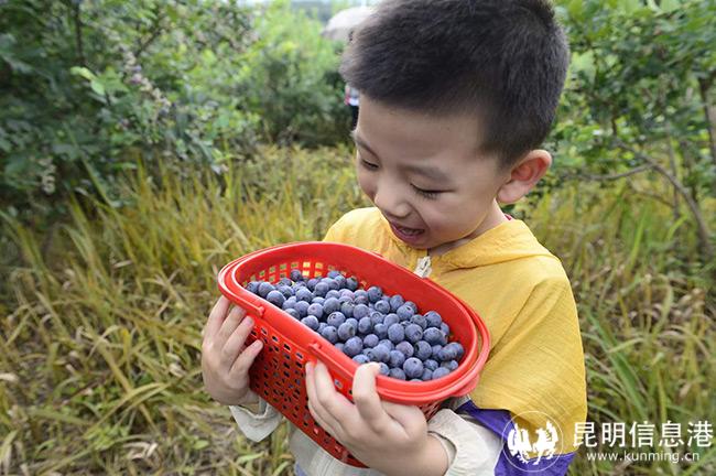 微信图片_20220630200125