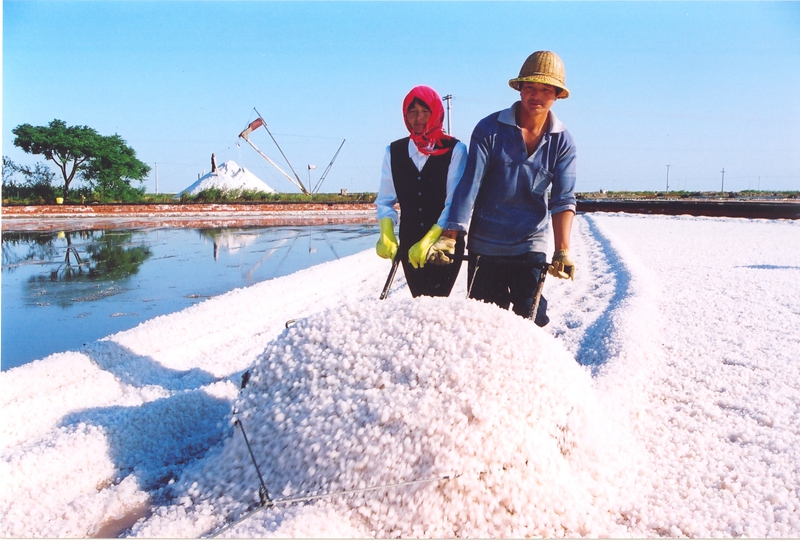 “敢叫海水变盐山”的淮盐精神流传至今。李永和摄