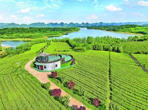 “爽爽贵阳”是什么味道?贵阳推出爽口美食“大礼包”