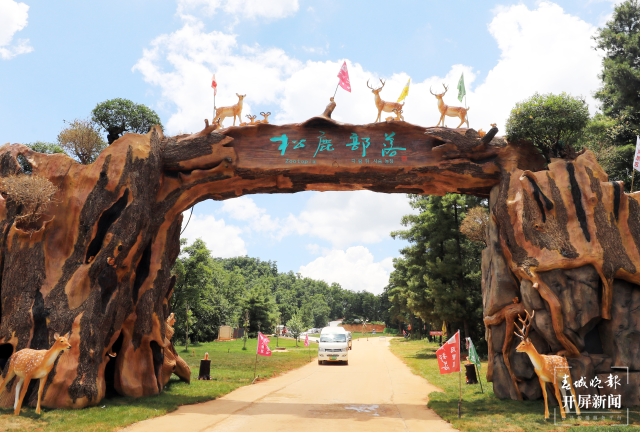 图片1_看图王.png