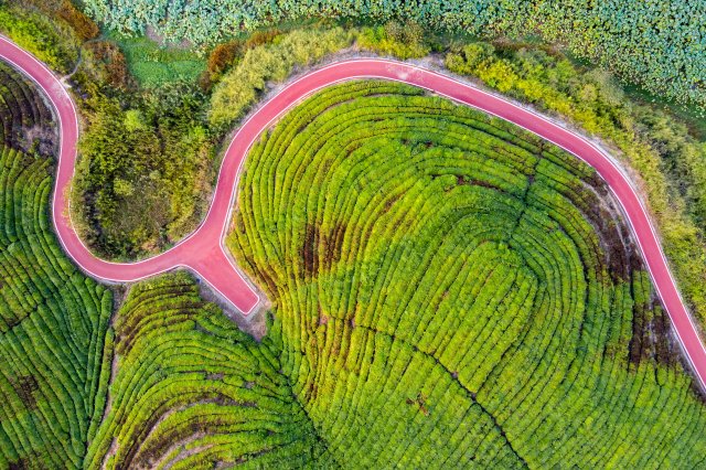 羊楼洞古镇(供图)