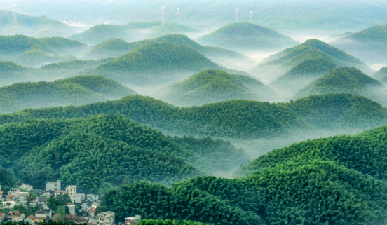 微信截图_20220715212557.png
