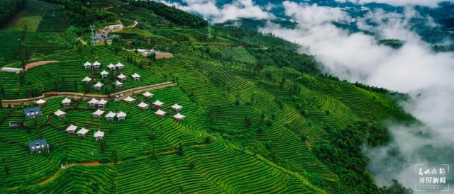 普洱思茅：云端秘境，与茶山居！
