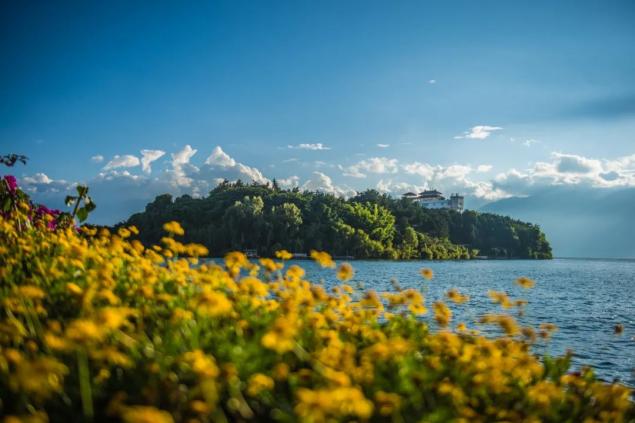 大理洱海 张成 摄.jpg