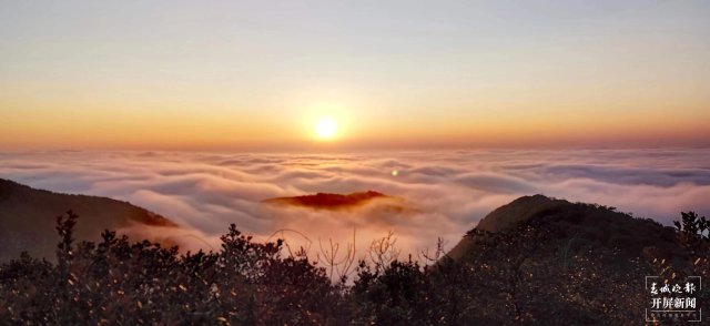 昭通这个村满山木耳花开美如画，还有云海霞光来“凑热闹”（开屏新闻记者 申时勋 通讯员 程清龙 马霞 摄影报道）