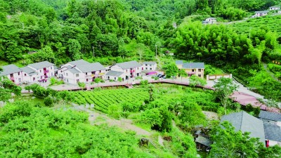 神山村三日 神山村三日