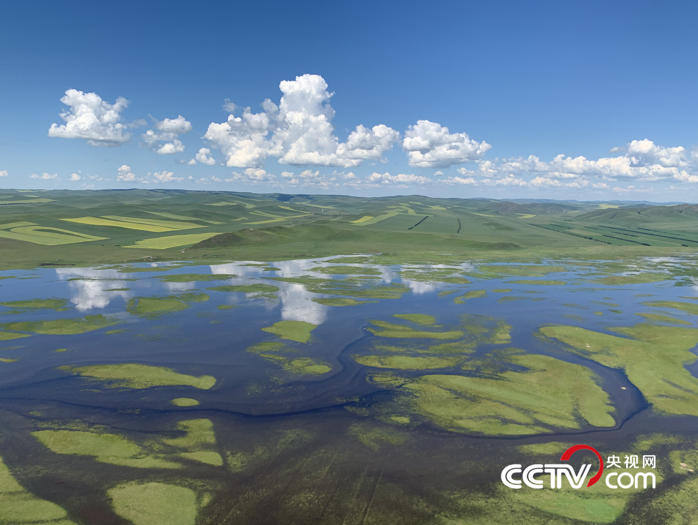 （额尔古纳湿地 央视网记者 王静远 摄）