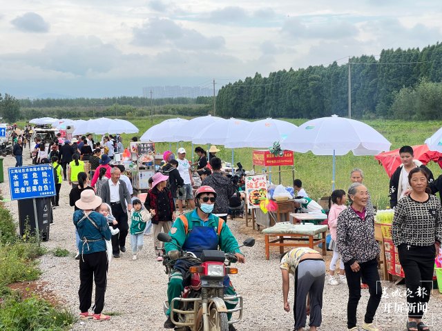 赏荷花、挖土豆、吃美食……首届斗南农旅文化节开幕