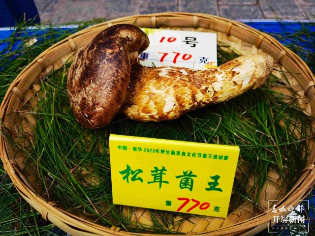 楚雄南华2022年野生菌美食文化节（春城晚报-开屏新闻记者 左学佳 摄）