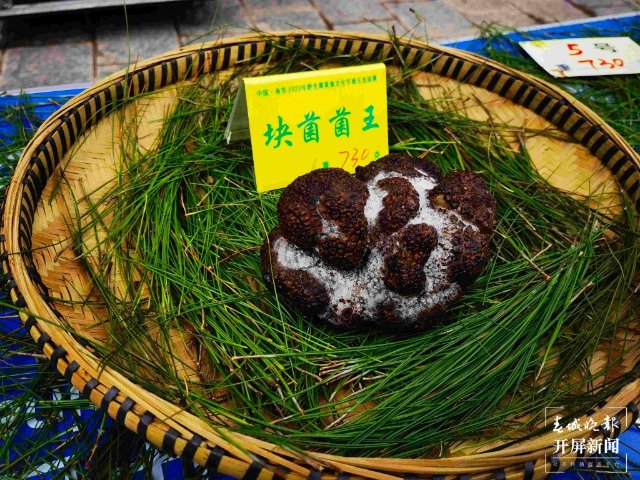 楚雄南华2022年野生菌美食文化节（春城晚报-开屏新闻记者 左学佳 摄）