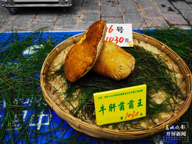 楚雄南华2022年野生菌美食文化节（春城晚报-开屏新闻记者 左学佳 摄）