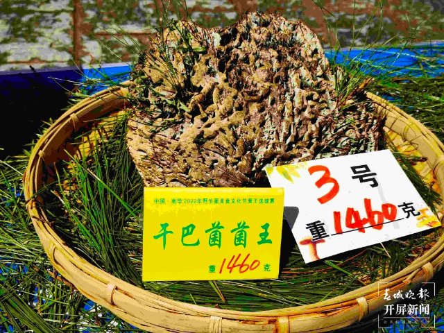 楚雄南华2022年野生菌美食文化节（春城晚报-开屏新闻记者 左学佳 摄）